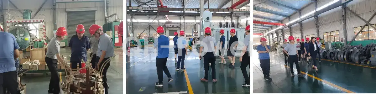QH-Power Hosts US Delegat